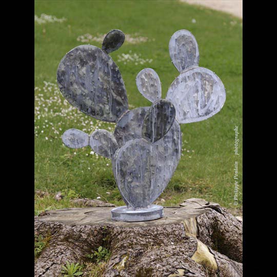 Cactus 70x50 cm