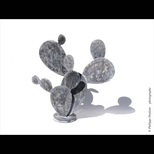 Cactus 0,70 ht x 0,75 larg
